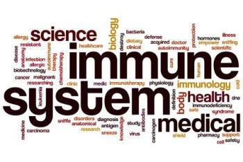 immune system illustration