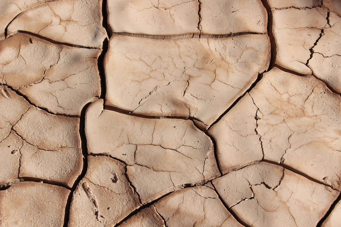 The Real Truth About Hyaluronic Acid and Dry Skin