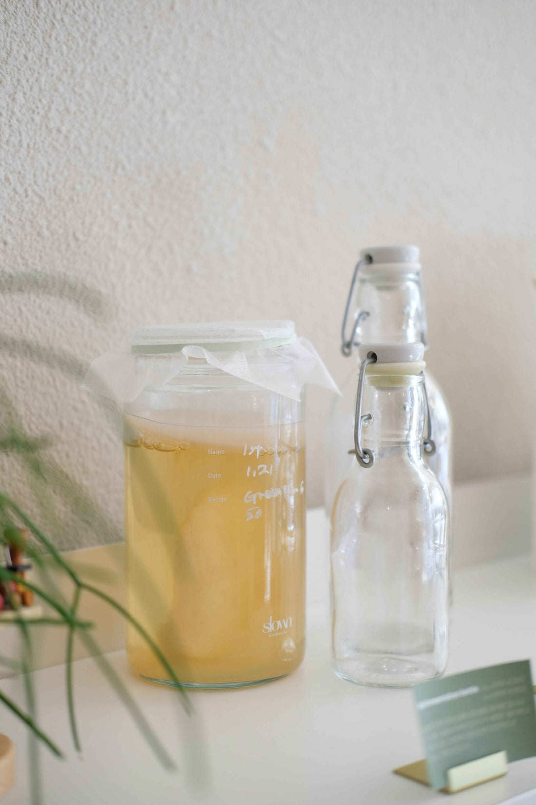 What are Prebiotics? Discover Their Benefits and Sources
