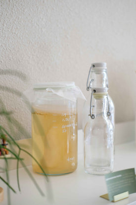 What are Prebiotics? Discover Their Benefits and Sources