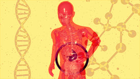 Healthy Gut Supplements: Key to Robust Immunity
