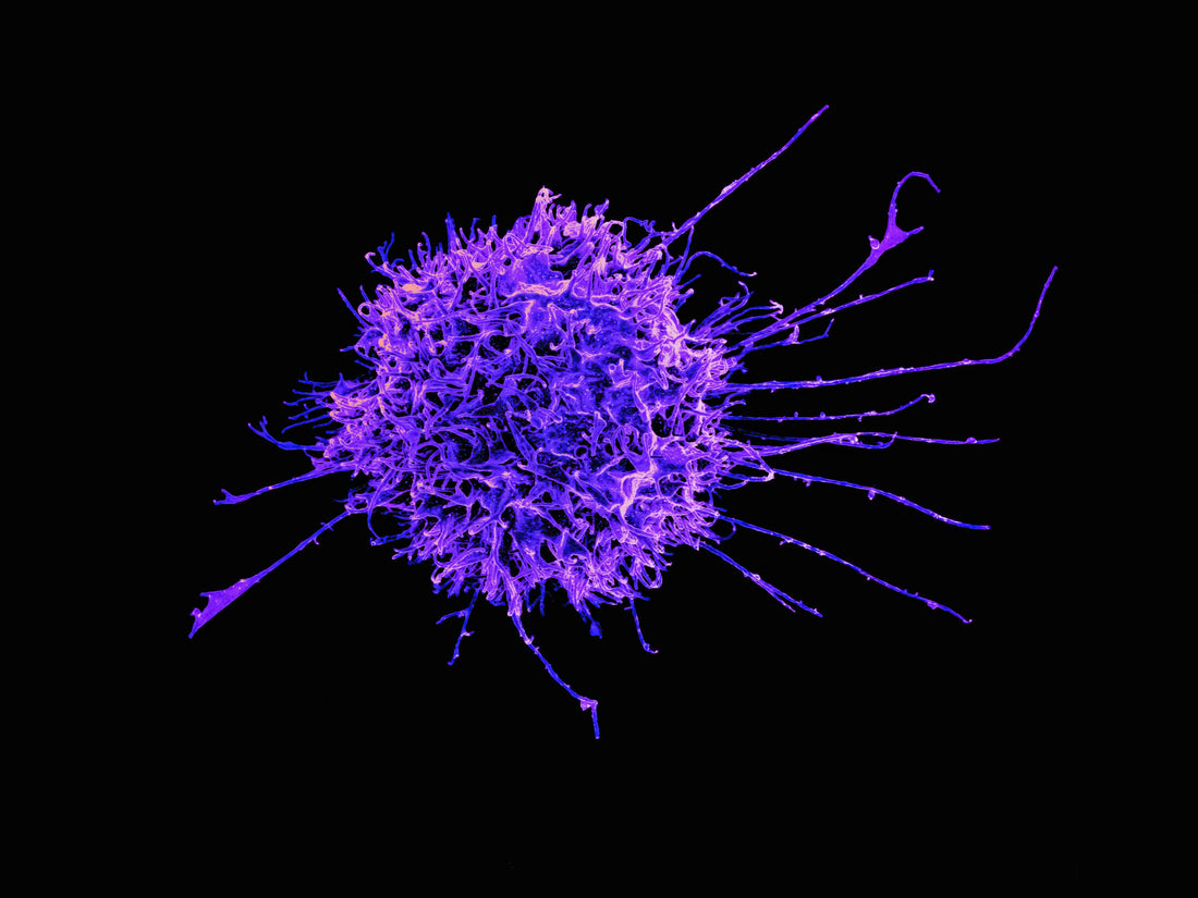 Simple Ways to Bolster the Immune System